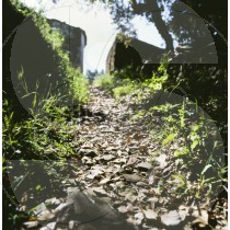 Track in the countryside