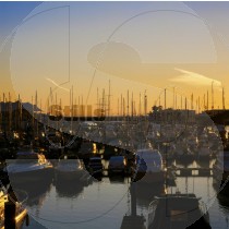 Marina of vilamoura
