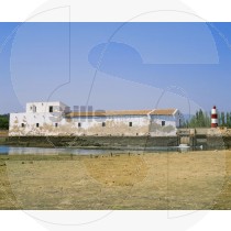 Water mill