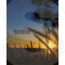 Sunset at ria formosa