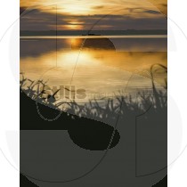 Sunset at ria formosa