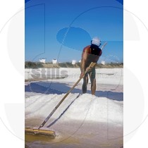 Man working in handmade salt collection