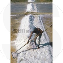 Man working in handmade salt collection