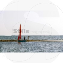 Sailboat in ria formosa