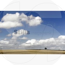 Plain alentejo