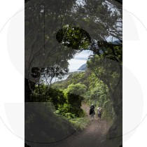 São Jorge