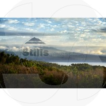 Volcano of pico island