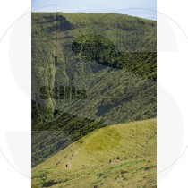 Caldera of faial