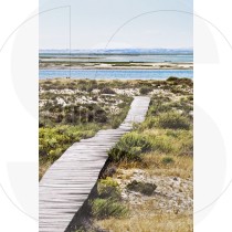 Wood pathway in the dune at Ria Formosa