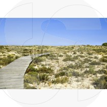 Wood pathway in the dune at Ria Formosa