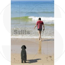Portuguese Water dog and man on the beach