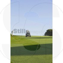Golf players