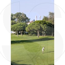Golf player
