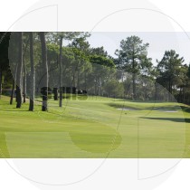 Golf course