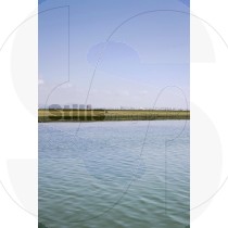 Ria formosa and city of faro