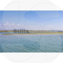Ria formosa and city of faro