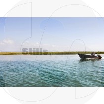 Boat in ria formosa (RM)