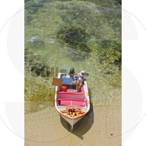 Touristic boat (RM)