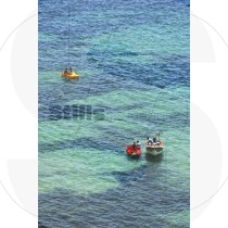 Paddle boat