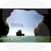 Under the rock