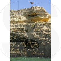Dive from cliff