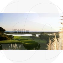 Golf course