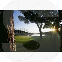 Golf course