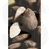 Almonds